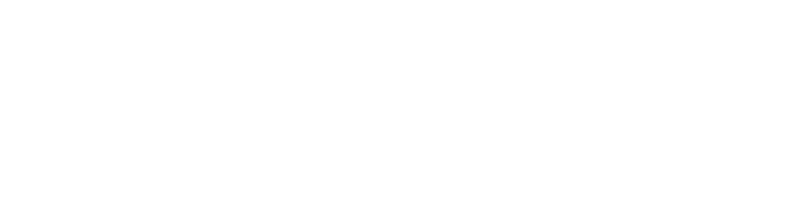 white_logo_transparent_background